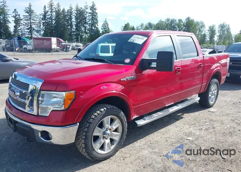 2010 Ford F-150 Fx4/Harley-Davidson/King Ranch/Lariat/Platinum/Xl/Xlt from USA, damaged, VIN 1FTFW1EV1AFB69039